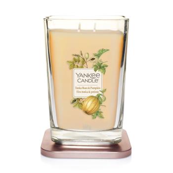 Yankee Candle 552g - Tonka Bean & Pumpkin - Elevation großes Glas - 2 Docht